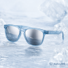 Complete Review of Polar Ice