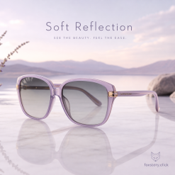 Complete Review of Soft Reflection